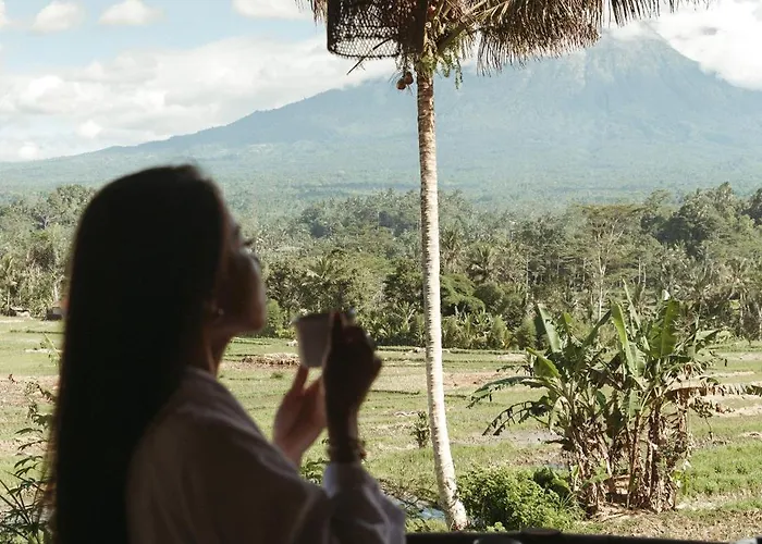 Jiva Bali - Dream Villa