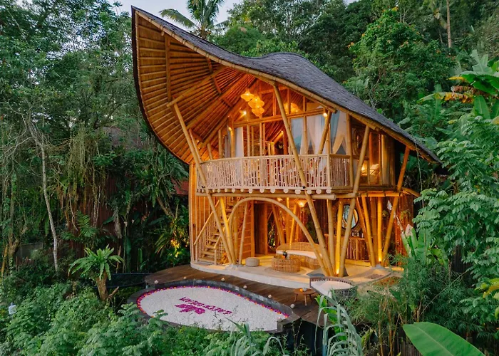Jiva Bali - Dream