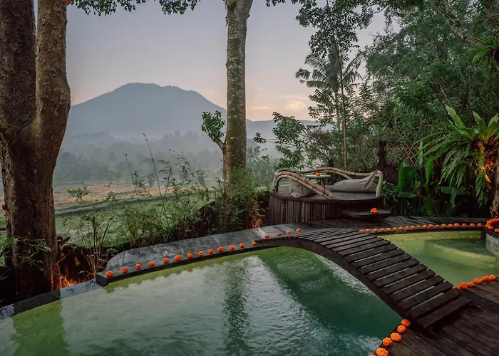 Jiva Bali - Dream *