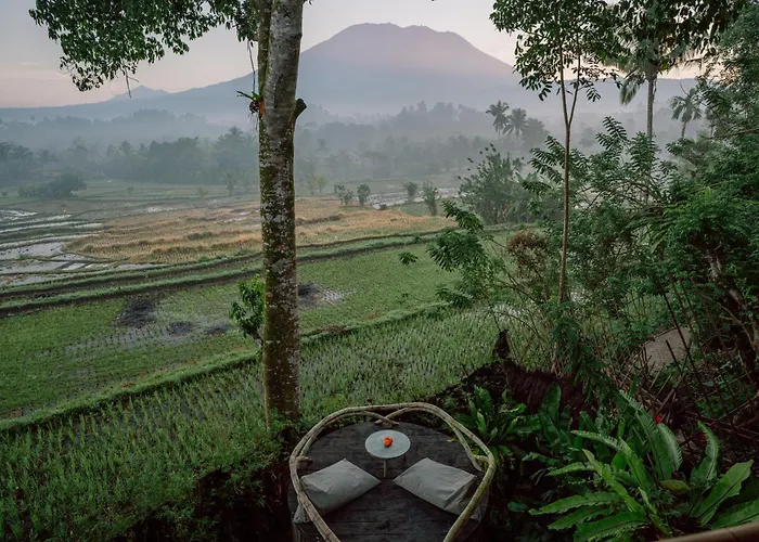 Jiva Bali - Dream *